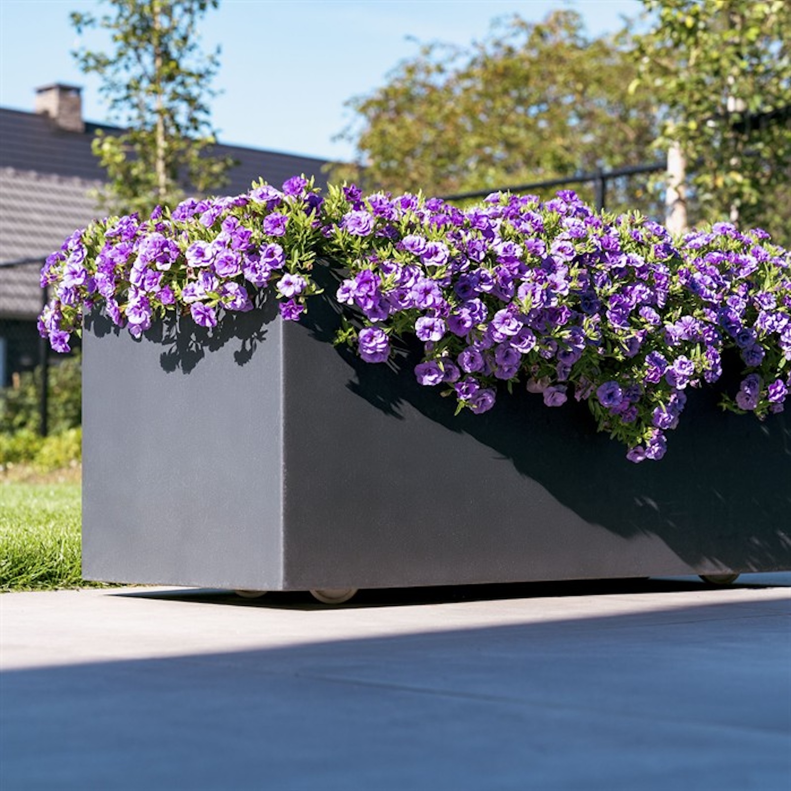 Adezz Carrez Pflanzgefäß mit Rollen Fiberglas Pflanzkübel Blumenkübel schwarz