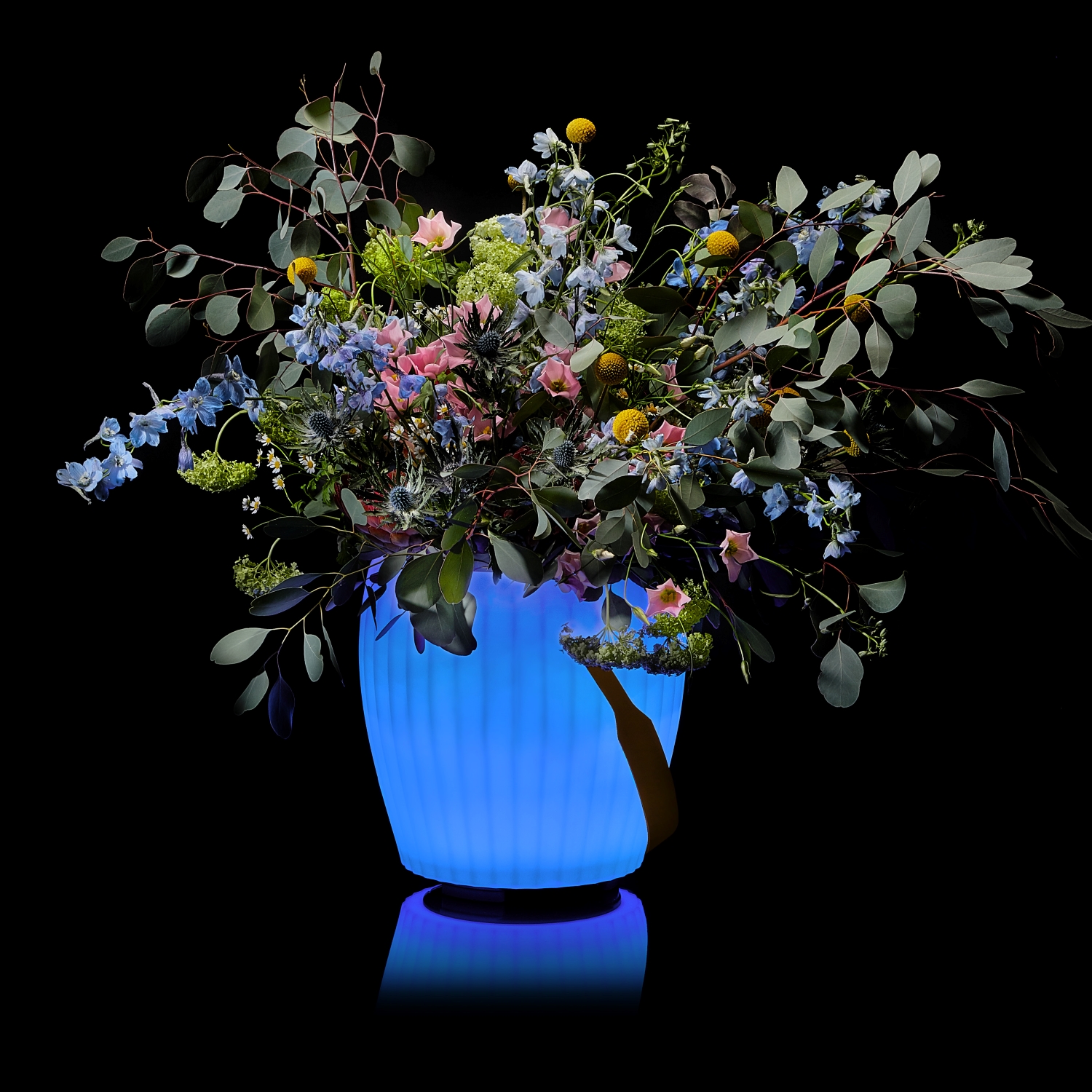 The Joouly Bowl M 3in1 LED-beleuchteter Getränkekühler mit Bluetooth-Lautsprecher